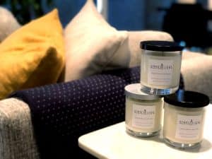 Scent + Light Candles